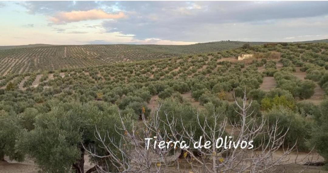 Alojamiento Vival Pineda Baeza Exterior foto